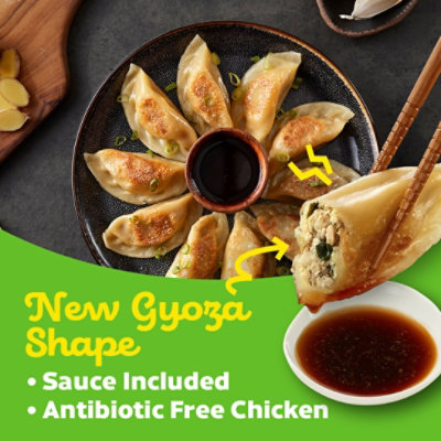 Pulmuone Korean Inspired Chicken Dumpling - 8 OZ - Image 6