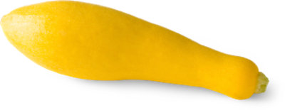 Squash Yellow Neck - EA