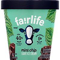 Fairlife Mint Chip - 14 OZ - Image 2
