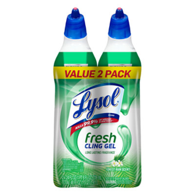 Lysol Tbc Country Scent - 48 FZ