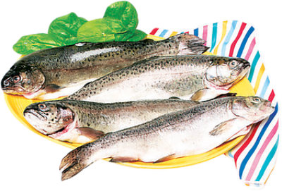 Trout Rainbow Whole Frozen - 1.25 Lb - Image 1