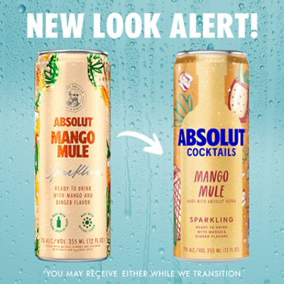 Absolut Mango Mule Can - 355 ML - Image 3