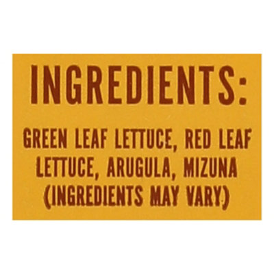 Little Leaf Farms Spring Mix - 4 OZ - Image 3