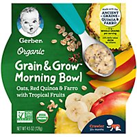 Gerber Organic Grain & Grow Morning Bowl Oats Quinoa Farro Tropical Fruits Baby Meals - 4.5 Oz - Image 1