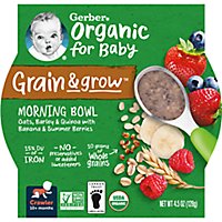 Gerber 3rd Foods Organic Grain & Grow Morning Bowl Banana Mixed Berry Baby Meal Tray - 4.5 Oz - Image 1