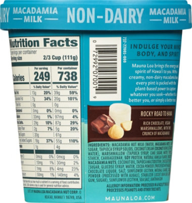 Mauna Loa Frozen Dessert Rocky Road - 1 PT - Image 6