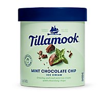 Tillamook Ice Cream Mint Chocolate Chipt - 48 OZT