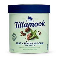Tillamook Mint Chocolate Chip Ice Cream - 48 Oz - Image 1
