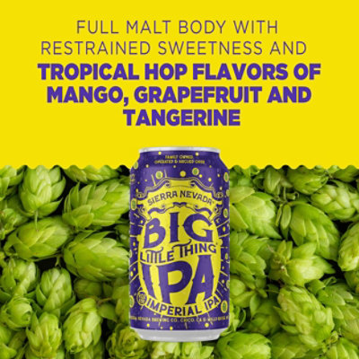 Sierra Nevada Big Little Thing Imperial IPA Craft Beer In Cans - 6-12 Oz - Image 5