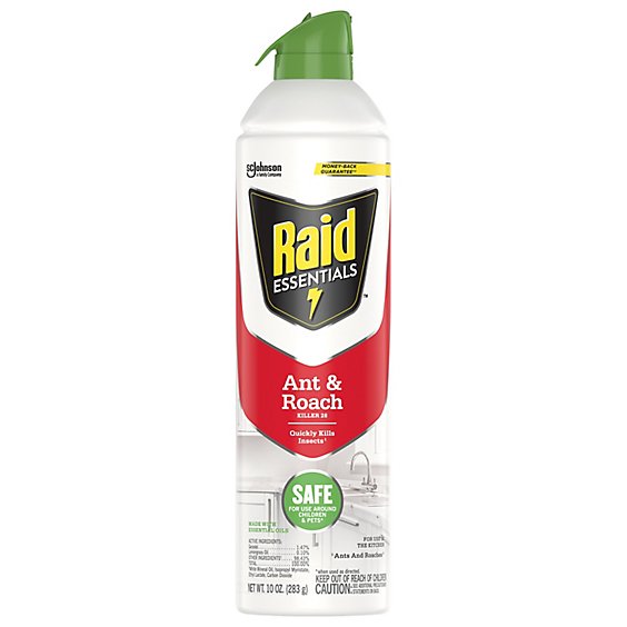 Raid Essentials Ant And Roach Killer Insecticide Aerosol Spray - 10 Oz