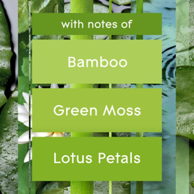 Glade Plugins Scented Oil Air Freshener Refill - 2-0.67 Oz - Image 5