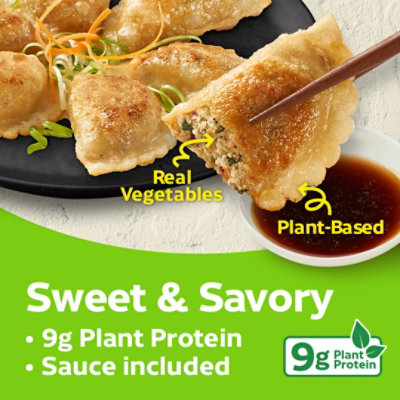 Nasoya Dumplings Korean Bbq Vegt - 9 OZ - Image 4