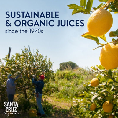 Santa Cruz Organic 100% Pure Lemon Juice - 16 Fl. Oz. - Image 2