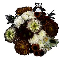 Bouquet Night Owl - EA
