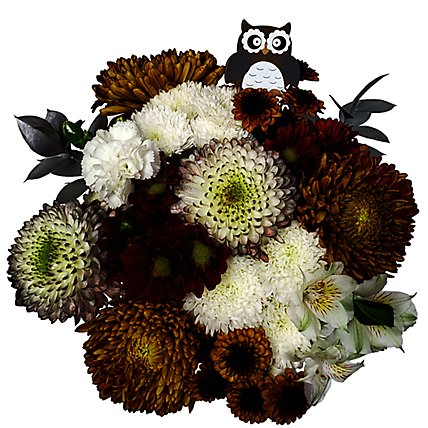 Bouquet Night Owl - EA - Image 1