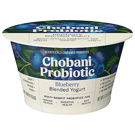Chobani Probiotic Greek Yogurt Blueberry - 5.3 OZ