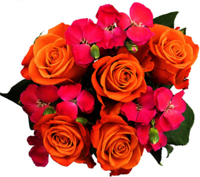 Rose Garden - EA - safeway