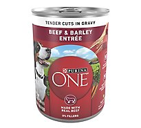 Purina ONE Tender Cuts Beef & Barley Wet Dog Food - 13 Oz