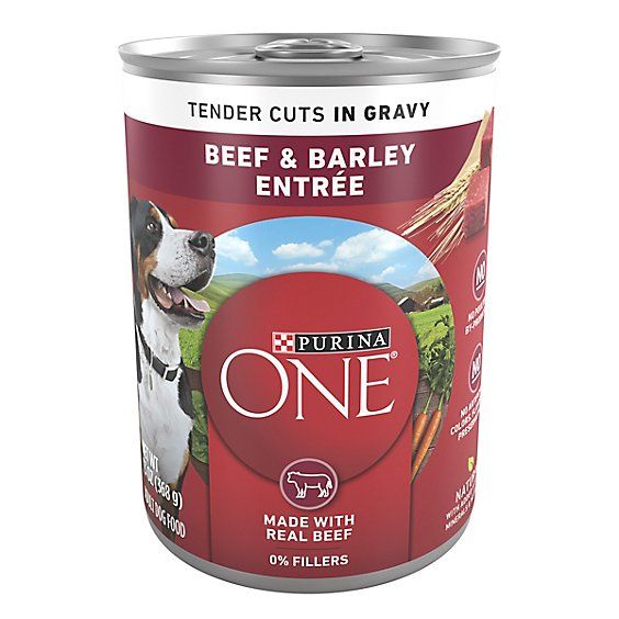Purina ONE Tender Cuts Beef And Barley Wet Dog Food - 13 Oz