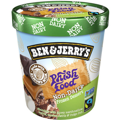 Ben and Jerry's Phish Food Non-Dairy Frozen Dessert - 16 oz