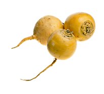 Yellow Waxed Turnip