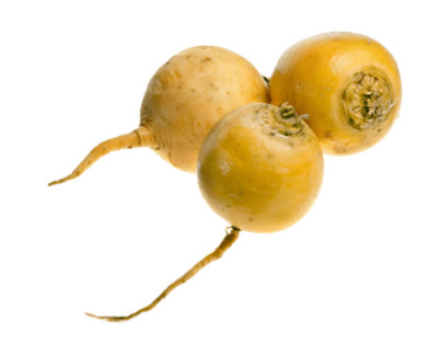 Yellow Waxed Turnip - Image 1