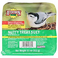 Audubon Nutty Treat Suet - 11 OZ - Image 1