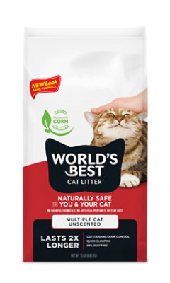 Best cat litter to use best sale