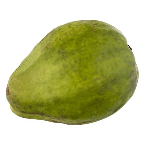 Guava - 16 OZ