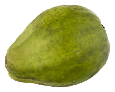 Guava - 16 OZ