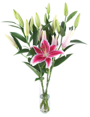 Lilies Ories Assorted 3 Stem - Each - Image 1