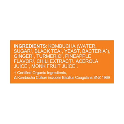 Flying Embers Hrd Kombucha Pineapple Chili In Cans - 6-12 FZ - Image 5