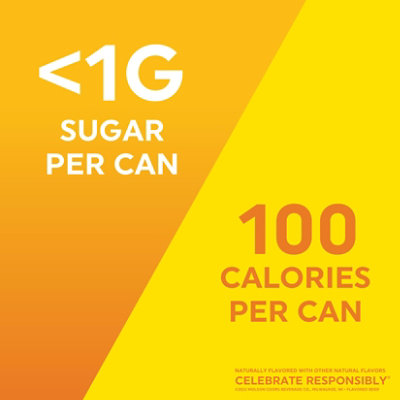 Vizzy Lemonade Variety Pack Hard Seltzer 5% ABV Cans - 12-12 Fl. Oz. - Image 3