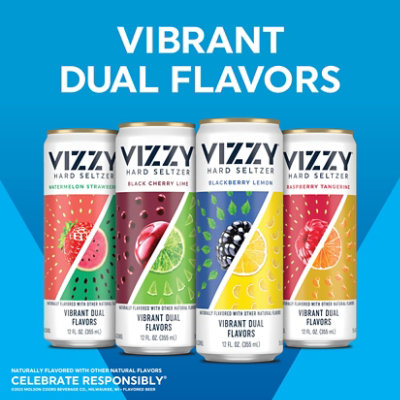 Vizzy Variety Pack 2 Hard Seltzer Beer 5% ABV Cans - 12-12 Fl. Oz. - Image 2