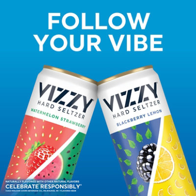 Vizzy Variety Pack 2 Hard Seltzer 5% ABV Cans - 12-12 Fl. Oz. - Image 4