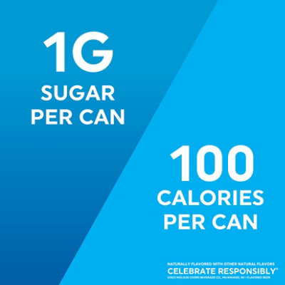 Vizzy Variety Pack 2 Hard Seltzer 5% ABV Cans - 12-12 Fl. Oz. - Image 5