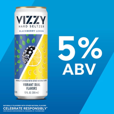 Vizzy Variety Pack 2 Hard Seltzer 5% ABV Cans - 12-12 Fl. Oz. - Image 3