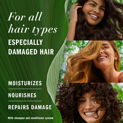 Herbal Essences bio:renew Shampoo and Conditioner Argan Oil Of Morocco - 27 Fl. Oz. - Image 3