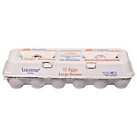 Lucerne Eggs Brown Large Aa - 12 CT - Image 2