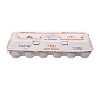 Lucerne Eggs Brown Large Aa - 12 CT