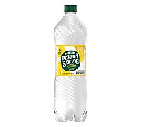 Poland Spring Sparkling Lemon Water - 33.8 FZ