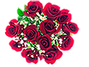 Debi Lilly Dozen Rose Bouquet - Each (colors may vary) - Image 1