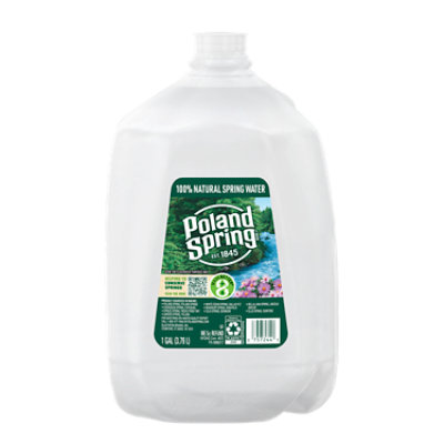 Poland Spring Brand 100% Natural Spring Water - 1 Gallon - Image 1