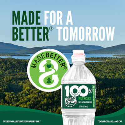 Poland Spring Sparkling Water - 8-16.9 FZ - Image 2