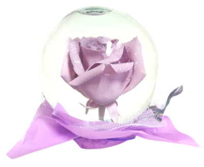 Rose Globe Fall - EA - Image 1