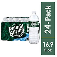 Poland Spring Brand 100% Natural Spring Water (Non Deposit) - 24-16.9 Fl. Oz. - Image 1