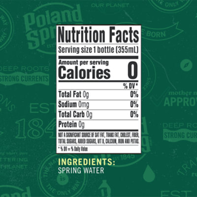 Poland Spring Natural Spring Water - 12-12 FZ - Image 4