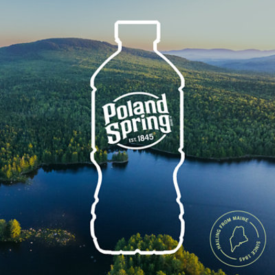 Poland Spring Natural Spring Water - 12-12 FZ - Image 5