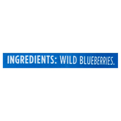 Wyman Wild Blueberry - 15 OZ - Image 5