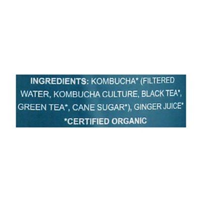 Aqua ViTea Ginger Kombucha - 16 Fl. Oz. - Image 5